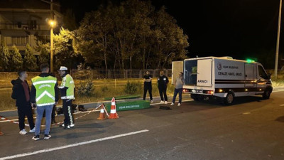 Kamyonun çarptığı yaya hayatını kaybetti (29 Nisan 2024)