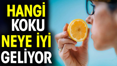 Hangi koku neye iyi gelir?