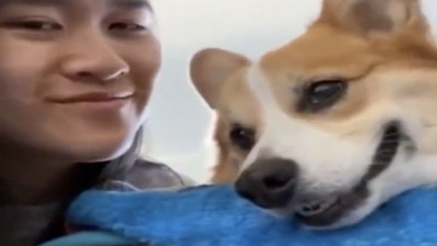 Öpülen köpeklerin kalpleri eriten tepkileri