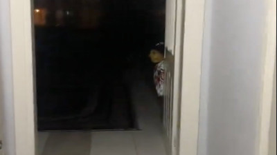 Kapıda gördüğü korkutucu silüetin sırrı ortaya çıktı