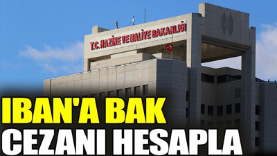 IBAN'a bak cezanı hesapla