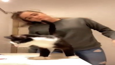 Sahibiyle dans eden kedi beğeni topladı