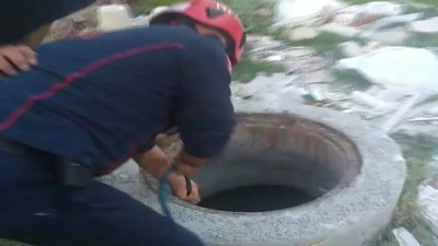 Üstü açık rögara düşen köpeği itfaiye kurtardı