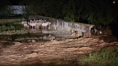 Konya'da sağanak: tarım arazileri ve yollar su altında kaldı