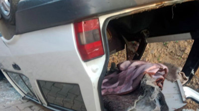 Köpeği camdan dışarı çıkmak isteyince kaza yaptı: 1 yaralı