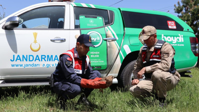 Yaralı şahin tedavi altına alındı (30 Nisan 2024)