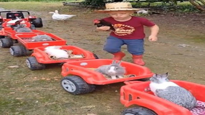 Akülü arabasıyla hayvanlarını gezdiren çocuk kalpleri eritti