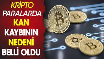 Kripto paralarda kan kaybının nedeni belli oldu