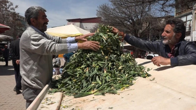 Dağlarda yetişiyor basuru bitiriyor romatizma ağrılarını dindiriyor. Kilosu 25 TL