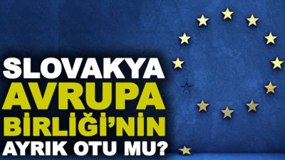 Slovakya Avrupa Birliği'nin ayrık otu mu?