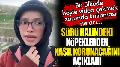 Sürü halindeki köpeklerden nasıl korunacağı açıkladı. Bu ülkede böyle video çekmek zorunda kalınması ne acı...