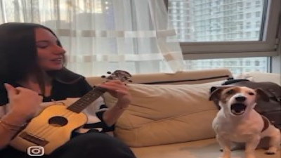 Sahibiyle düet yapan köpek sosyal medyayı salladı!