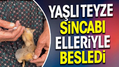 Yaşlı teyze sincabı elleriyle besledi