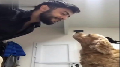 Türkü söyleyen sahibini hayranlıkla izleyen köpek kalpleri eritti