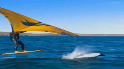 Alaca yunuslarının sörfçüyle dansı hayran bıraktı