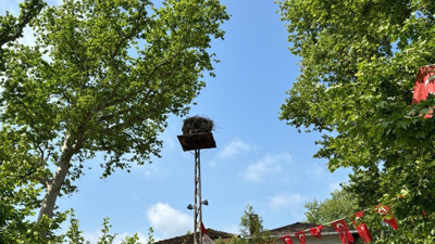 Tekirdağ'ın maskotu 'Gelendost' kamera ile izlenecek