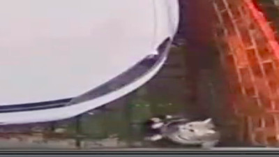 Pencereden düşen kedinin eve dönme çabası duygulandırdı