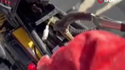 Motosiklete yılan korkusu