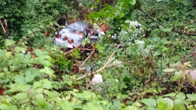 Gelin arabası şarampole uçtu. Gelin ve damat dahil 5 kişi yaralandı