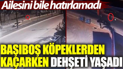 Başıboş köpeklerden kaçarken dehşeti yaşadı: Ailesini bile hatırlamadı