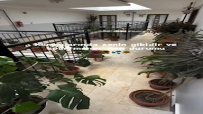 Bitki seven ailelerin renkli dünyası apartmanı şenlendirdi