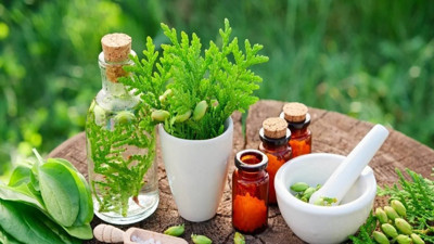 Bitkisel tedaviye avuç dolusu para harcayanlar dikkat! Uzmanlar uyardı