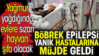 Böbrek Epilepsi Yanık hastalarına müjde geldi. Yağmur yağdığında evlere sızan hayvan şifa olacak