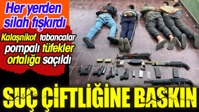 Suç çiftliğine baskın. Kalaşnikof tabancalar ve pompalı tüfekler ortalığa saçıldı