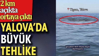 Yalova'da büyük tehlike. 2 km açıkta ortaya çıktı