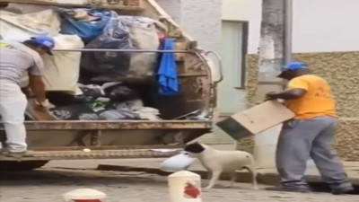 Sevimli köpek çöp toplayan çalışanlara yardım etti