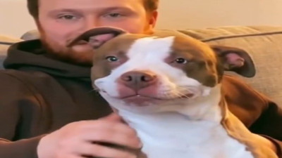 Sahiplenilen köpeğin mutluluğu kalpleri eritti