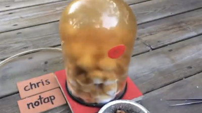 Bu deney size sigarayı bıraktıracak