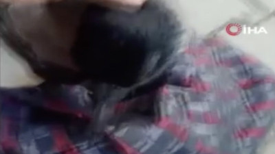 Elleriyle beslediği karga görenleri şaşırttı