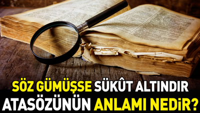 Söz gümüşse sükût altındır atasözünün anlamı nedir?