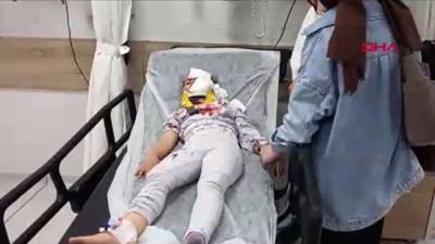 Diyarbakır’da piknik yapanların arasına at daldı. 1’i çocuk, 2 yaralı