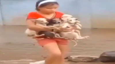 Küçük kız selden etkilenen yavru köpekleri kurtardı