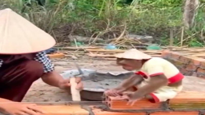 İnşaatta çalışan maymun sosyal medyada viral oldu