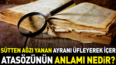 Sütten ağzı yanan ayranı üfleyerek içer atasözünün anlamı nedir?