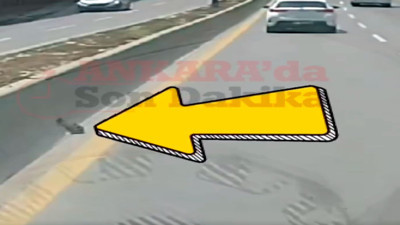 Duyarlı sürücü yavru kediyi ezilmekten kurtardı