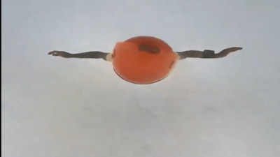 Atlayış sırasında yağmur bulutunun içinden geçti