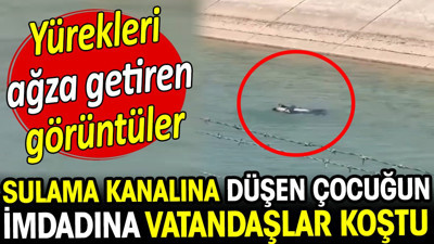 Şanlıurfa'da yürekleri ağza getiren görüntü! Kanala düşen çocuğun imdadına vatandaşlar koştu