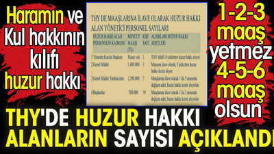 Haramın ve kul hakkının kılıfı huzur hakkı indiregandisi. THY'de huzur hakkı alanların sayısı açıklandı