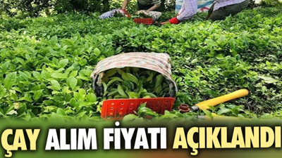 Çay alım fiyatı açıklandı (11 Mayıs 2024)