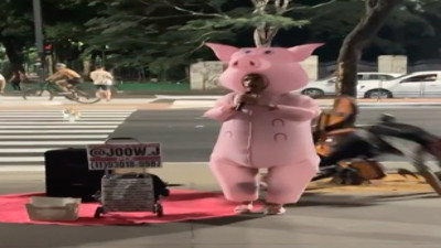 Şarkı söyleyen 'domuzu' gören bisikletli takılıp düştü