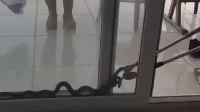 Eve giren yılan itfaiye operasyonu ile çıkarıldı