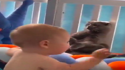 Bebeğin ilgisinden bıkan kedi oyuncak taklidi yaptı