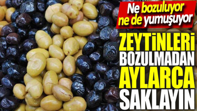 Zeytinleri bozulmadan aylarca saklayın! Ne bozuluyor ne de yumuşuyor