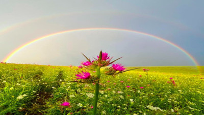 Siverek'te doğanın şöleni: Yağmur sonrası gökkuşağı büyüsü