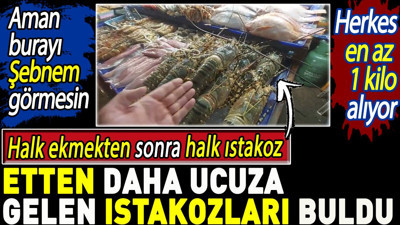 Etten daha ucuza gelen ıstakozları buldu. Herkes en az 1 kilo alıyor