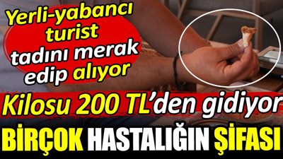 Birçok hastalığın şifası kilosu 200 TL'den gidiyor. Turistler tadını merak edip alıyor